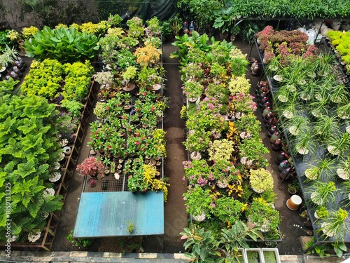 Aerial View of a Bustling Plant Nursery with Diverse Greenery