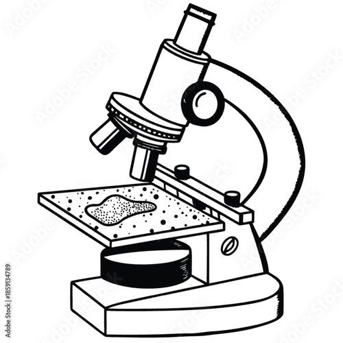 Microscope vector