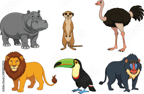 Cute cartoon wild animals set including lion hippopotamus ostrich meerkat toucan baboon vector illustration isolated on white background for kids design