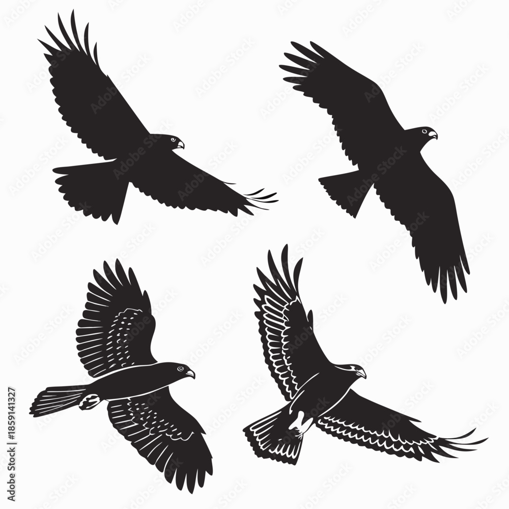 Obraz premium Four flying eagles illustration