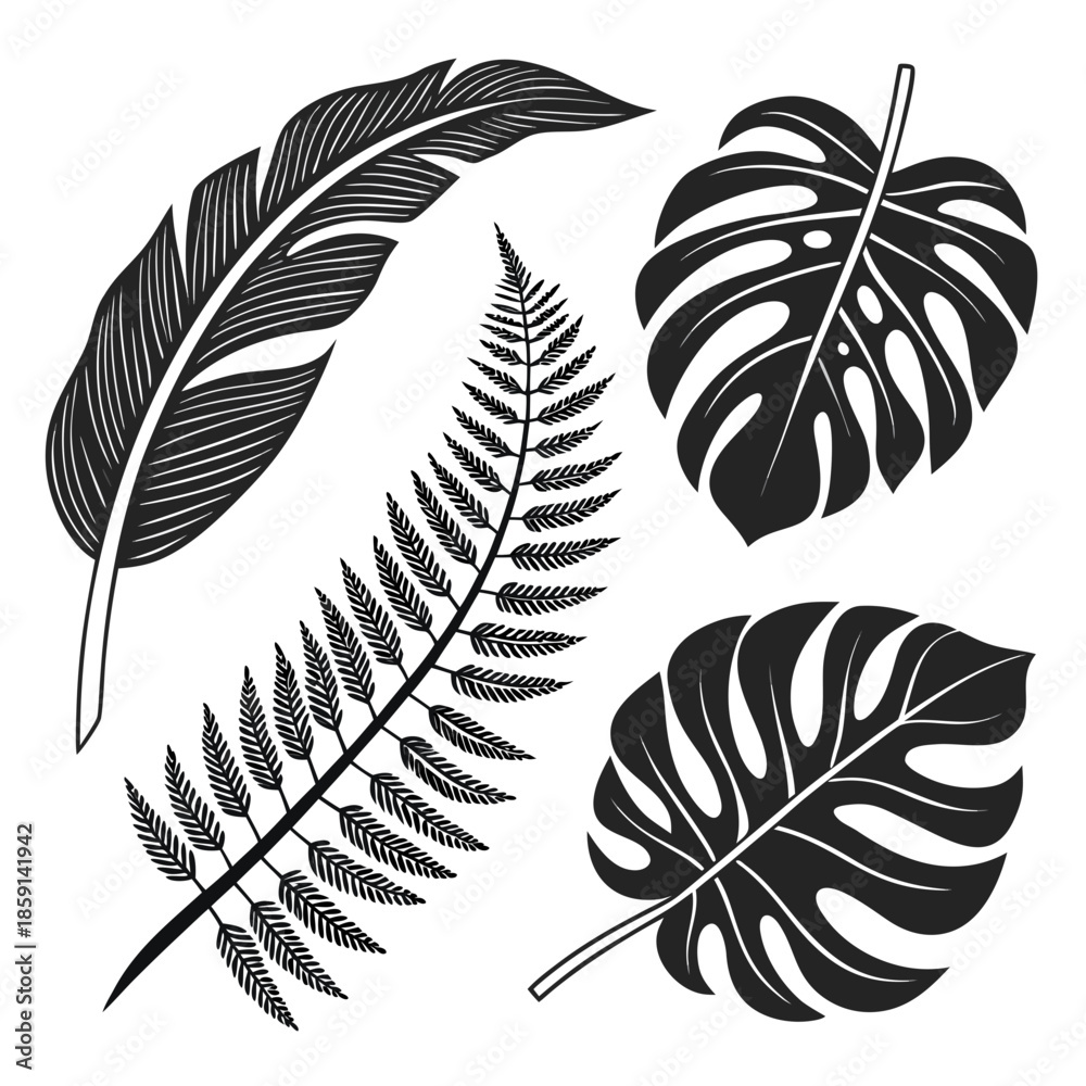Obraz premium Black and white leaf collection