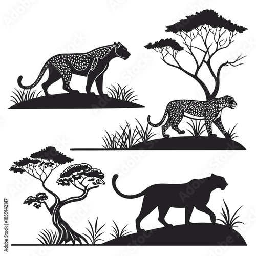 Silhouettes of leopards in african savanna