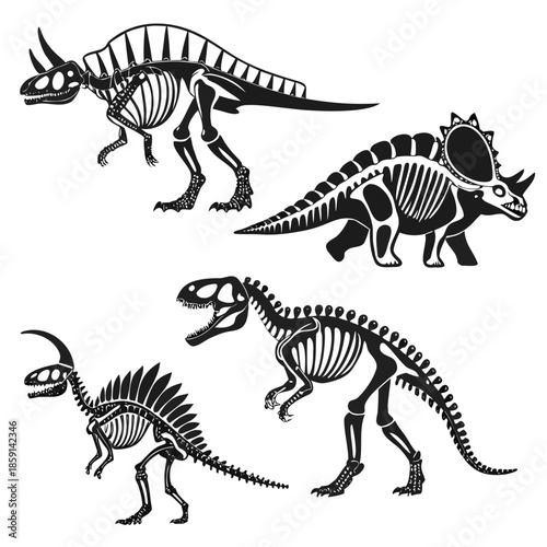 Dinosaur skeleton illustrations