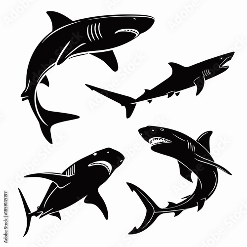 Four different shark silhouettes