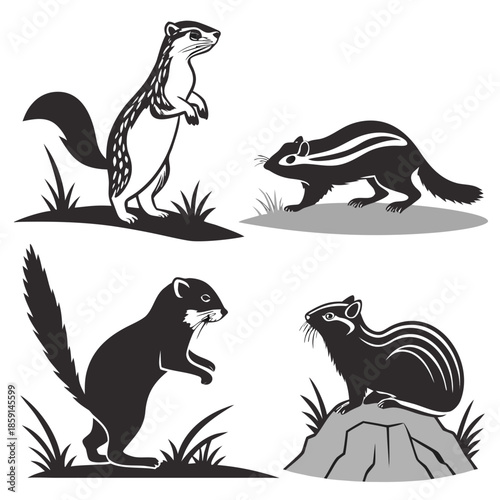 Four chipmunks in different poses