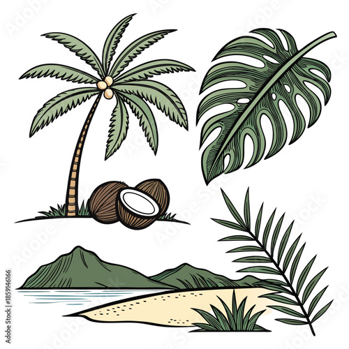 Tropical beach illustration