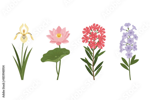 Tropical Botanical Flower Set: Yellow Walking Iris,  Chinese Water Lily, Rosebay, Garlic Creeper. Vector Illustration. Design Element. Clip art. Suitable for artwork design. Editable for any design.