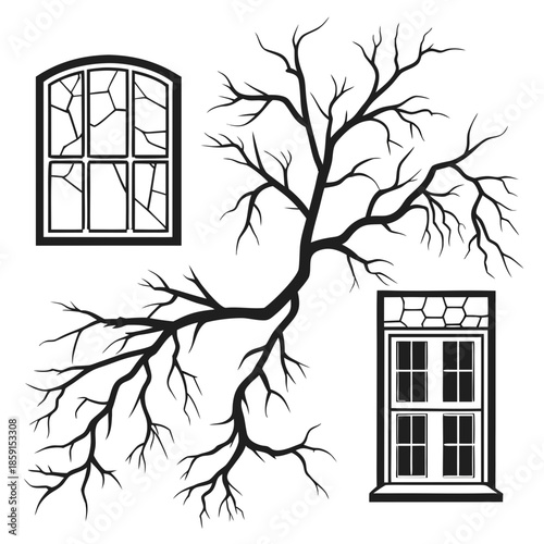 Haunting silhouette of bare tree branches and windows