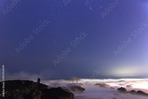 Vászonkép 波に打たれる大洗磯間神社の鳥居と星空　シリウス・流れ星
