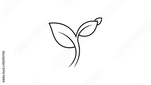 A black and white line drawing of a sprouting plant with three leaves on a white background. It represents growth