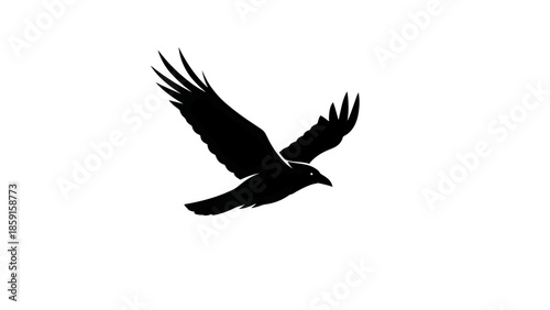 A black, flying bird silhouette against a white background. Wings are outstretched, showing fine details. It is flying left