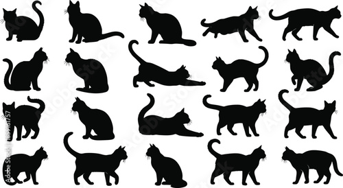 Large collection of black cat silhouettes, vector illustration set featuring domestic felines in various poses like sitting, walking, lying, and standing on white. (Exactly 24 words)
