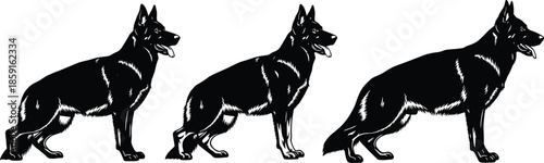 Large vector illustration collection featuring black cat silhouettes, yoga poses, sitting people, marine life, mushrooms, German Shepherd dogs, and potted orchid flowers on white. (Exactly 24 words)