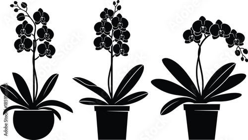 Massive vector illustration collection featuring black cat silhouettes, yoga poses, sitting people, marine life animals, wild mushrooms, and potted orchid flowers on white. (Exactly 24 words)