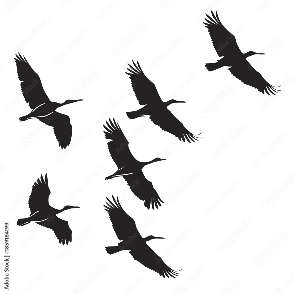 Obraz premium Flock of birds in flight