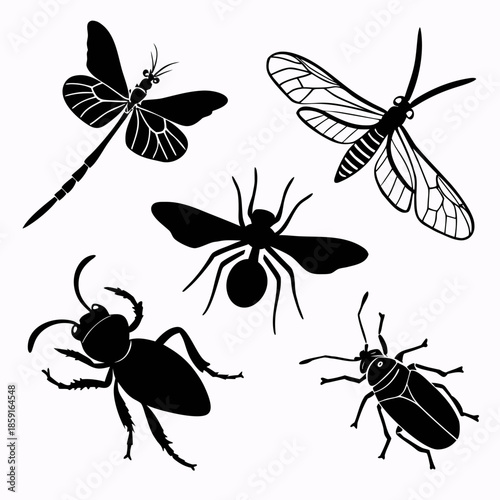 Silhouettes of various insects