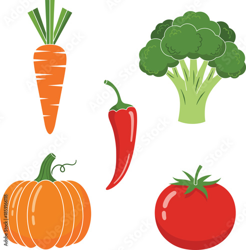 Carrot, broccoli, chili pepper, pumpkin and tomato vector set — fresh organic vegetable illustration collection