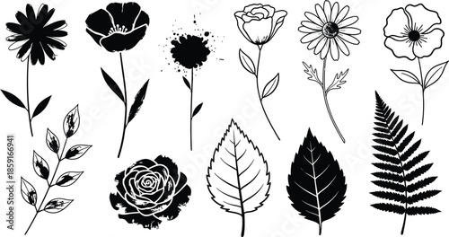 Vector art of graceful black rose floral arrangement forming a corner accent, isolated on white background