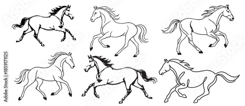 set of horses vector illustration