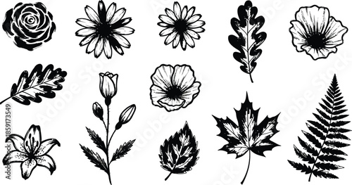  abstract vector floral pattern design element featuring black flower, leaf, and branch silhouettes for art decoration and illustration