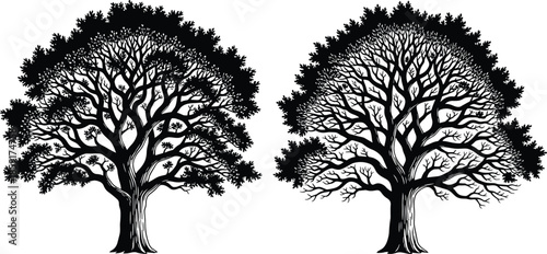 Business presentation meeting silhouette vector illustration, professional training seminar with presenter standing by table, corporate team learning workshop conference graphic, modern lecture room 