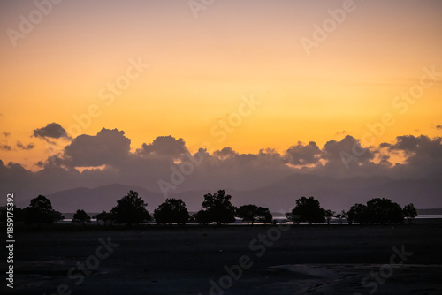 Golden Sunset Sky Over Silhouetted Trees and Mountains