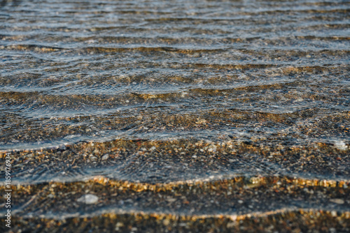 Golden Ripples in Shallow Coastal Water