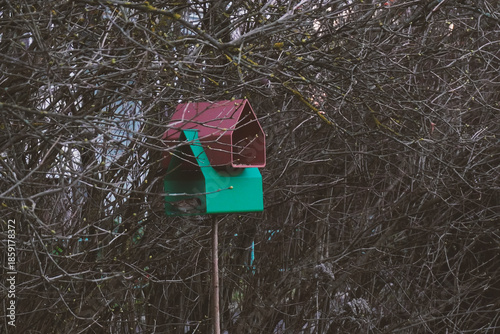 Free plastic bird feeder in the garden printed on a 3d printer. Feeding birds in winter. Bird watching. Eco-friendly backyard habitat.