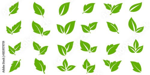 Leaf vector symbol, leaf illustration or leaf emoji in flat style. Spring leaf design, ecological nature theme.	
