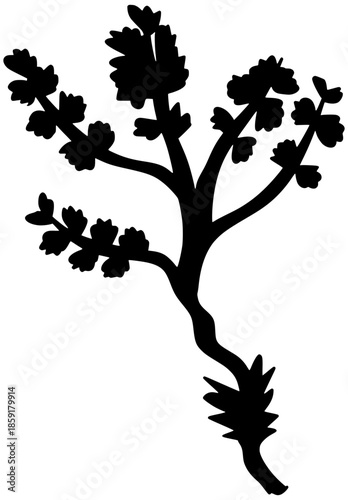 Turks And Caicos Heather Flower Silhouette Vector Shadow