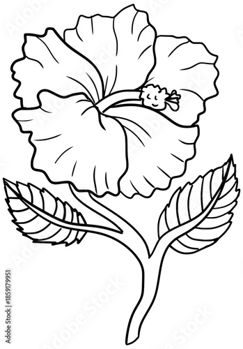 Thespesia Grandiflora Flower Outline Line Art Drawing