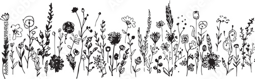 Hand-drawn black ink sketch of various wildflowers and grasses on a white background botanical