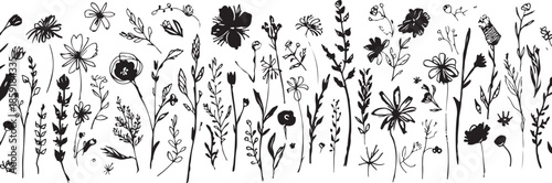 Hand-drawn black ink sketch of various wildflowers and grasses on a white background botanical