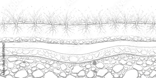 A detailed cross-section illustration of geological layers and soil profile with plant roots