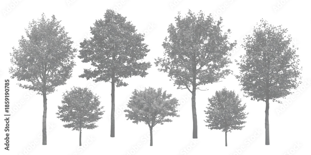 Fototapeta premium Seven monochrome cutout trees for architectural rendering and graphic design projects
