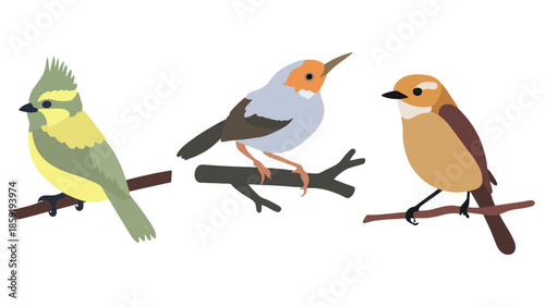 Three charming illustrated birds perched on branches, showcasing diverse colors and forms.
