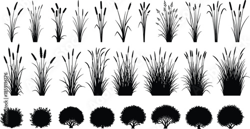 Black silhouette collection of marsh grass reeds and garden bushes, landscape nature design elements, cad drawing flat vector illustration