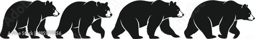 Black bear silhouette vector collection showing walking wild bear poses in animal wildlife illustration design set