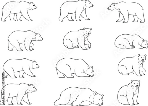 Polar bear outline clipart bundle — walking, sitting, sleeping bear SVG line art for winter crafts, coloring pages and arctic designs