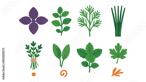 Vibrant collection of fresh culinary herbs, perfect for cooking and healthy living.