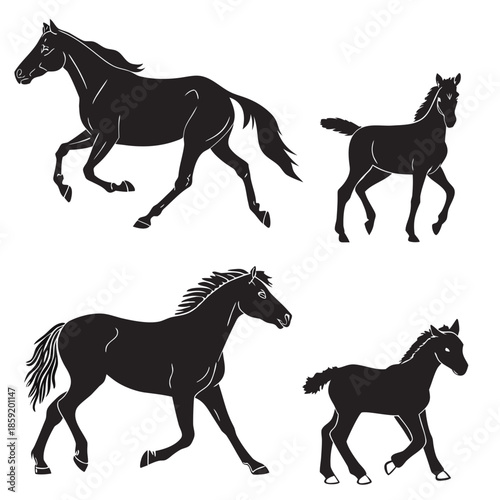 Silhouettes of horses