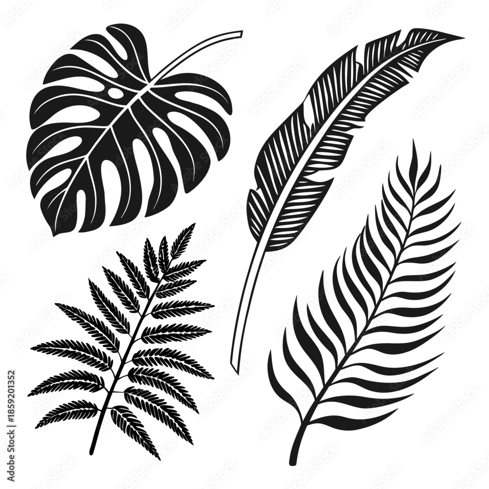 Obraz premium Black and white tropical leaves