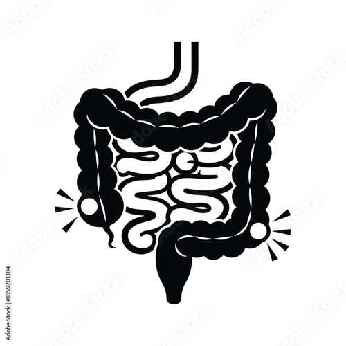 Human Digestive System Anatomy Illustration
