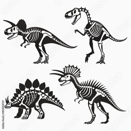 Dinosaur skeleton illustrations