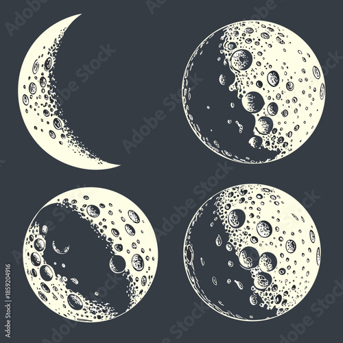 Moon phases illustration