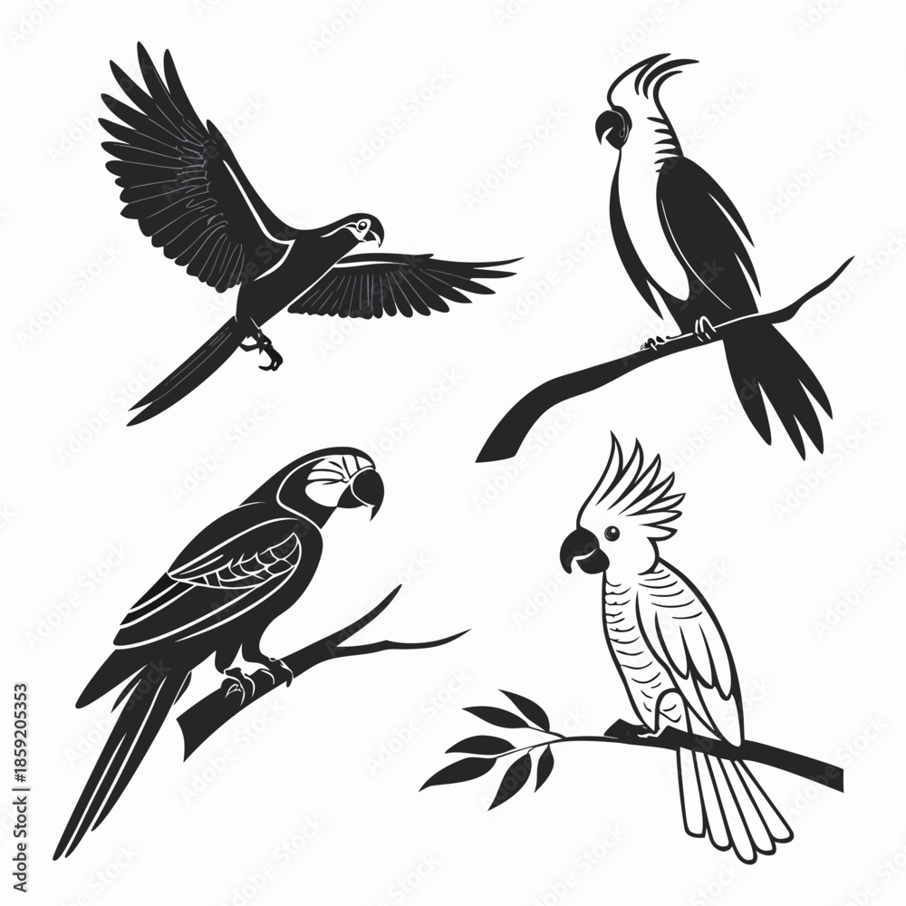 Obraz premium Parrot silhouettes