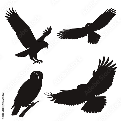 Silhouettes of birds of prey