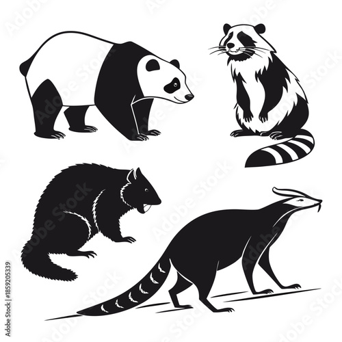 Illustrations of various animals