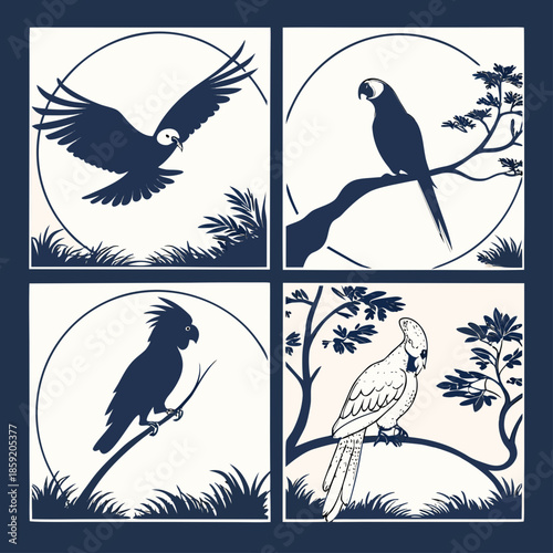 Silhouette of exotic birds