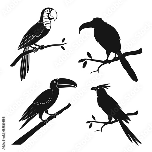 Silhouettes of exotic birds